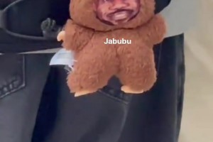 網友逛街偶遇有人書包掛著詹姆斯labubu??????